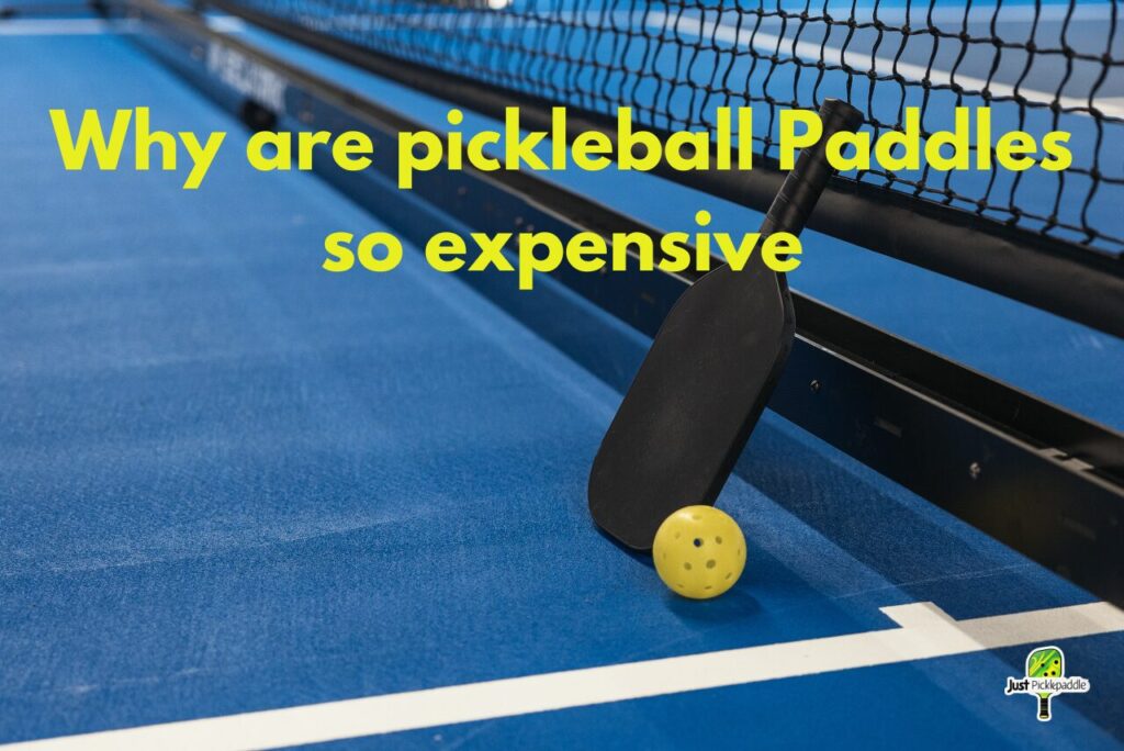 What Makes Pickleball Paddles So Expensive? The Answer!