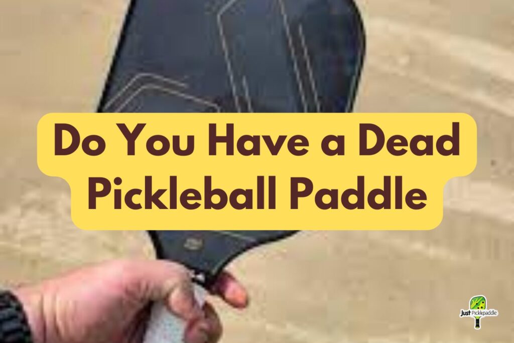 Do You Have a Dead Pickleball Paddle